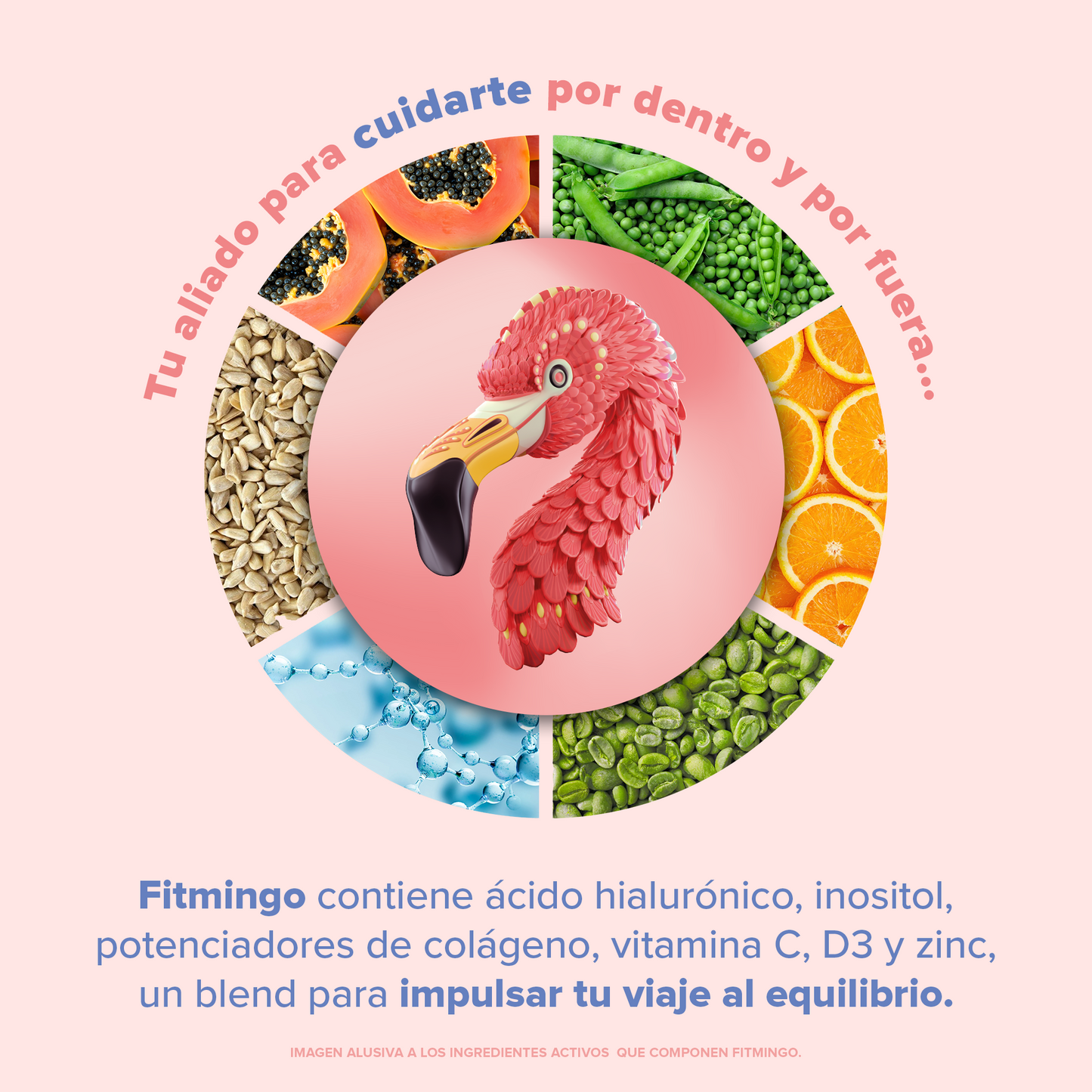 https://cdn.shopify.com/s/files/1/1437/8626/files/Fitmingo_Lifestile_02_8f494954-7d18-4b5d-9c3c-fe1d65d0e1c0.png?v=1721931291
