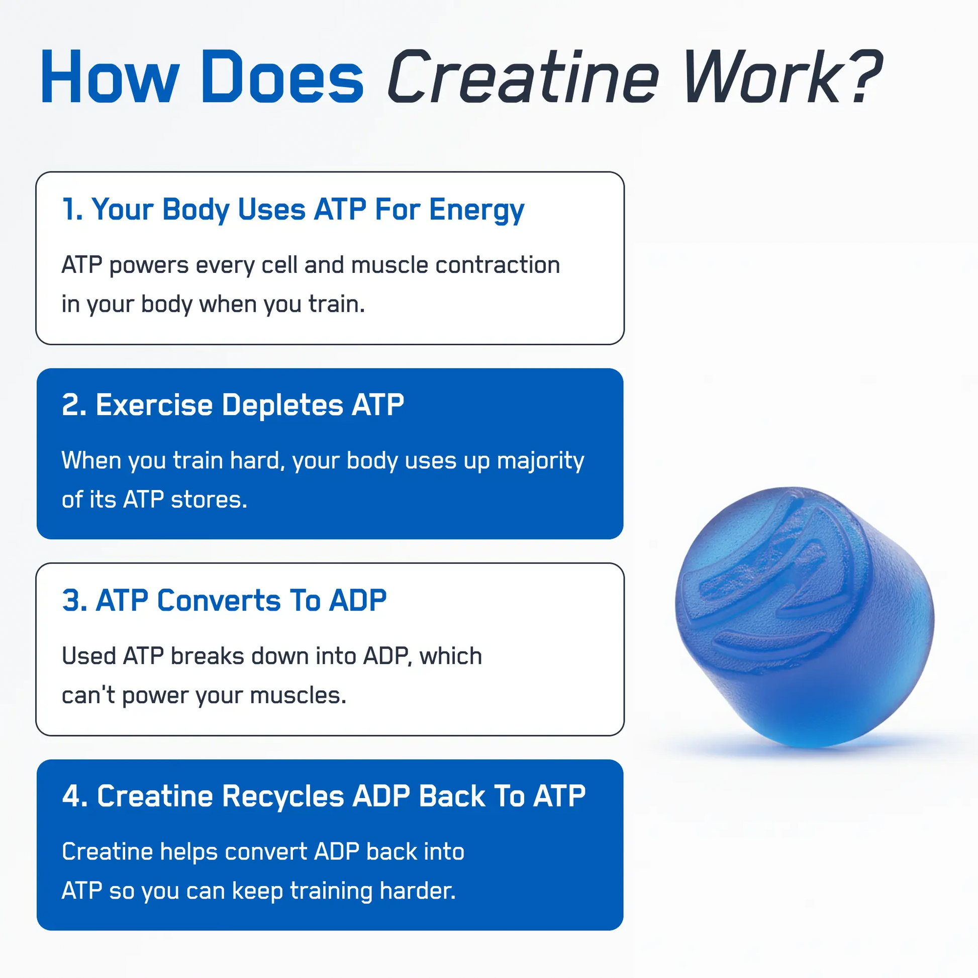 SteelFit Creatine Monohydrate Gummies Potencia Muscular 120 Gomitas