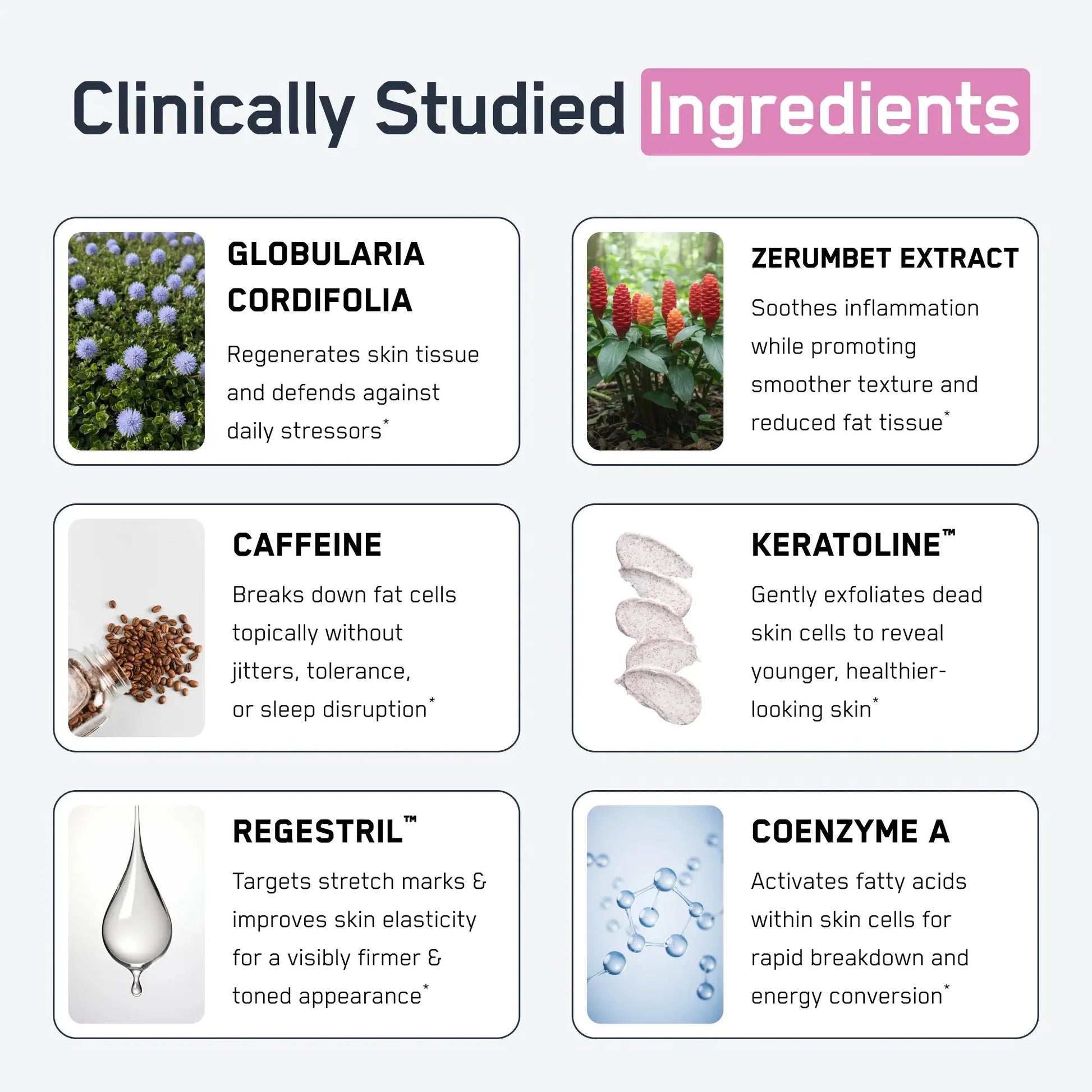 https://cdn.shopify.com/s/files/1/0528/4459/3302/files/BunsofSteelInfographic2.webp?v=1770323802