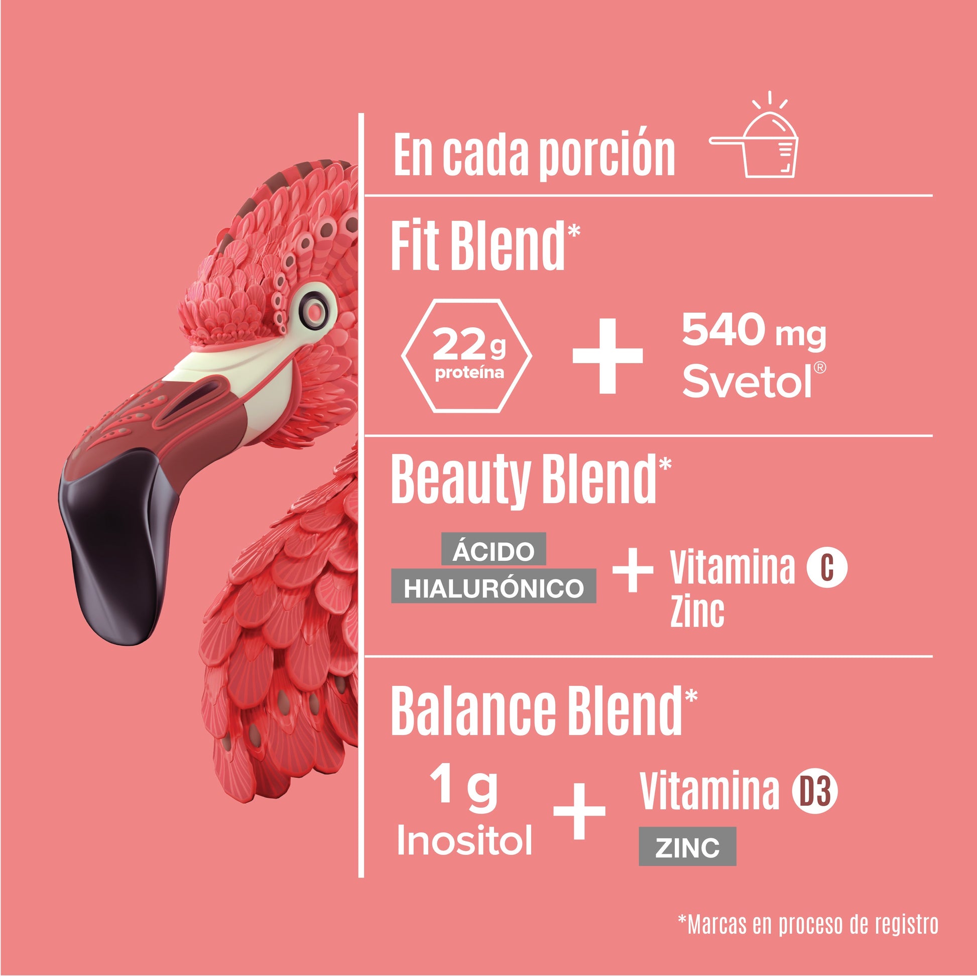 https://cdn.shopify.com/s/files/1/1437/8626/files/FIMO1020_3.jpg?v=1740532790