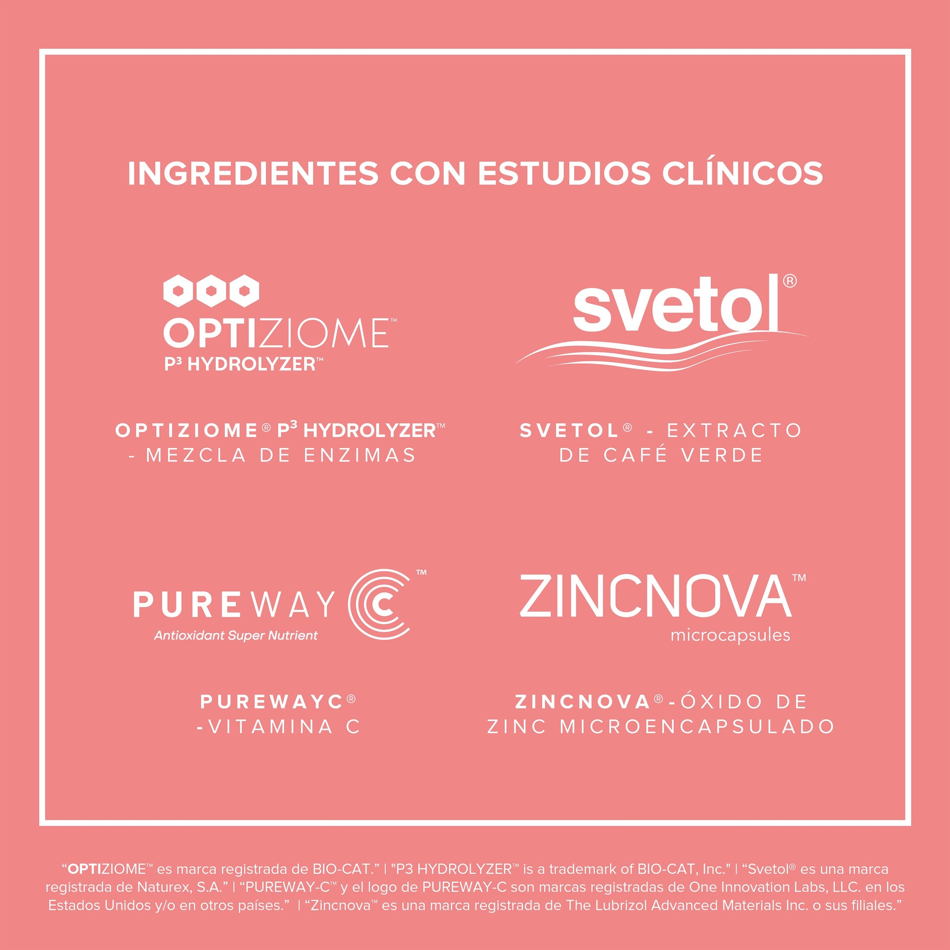 https://cdn.shopify.com/s/files/1/1437/8626/files/FIMO1700_5.jpg?v=1721943578