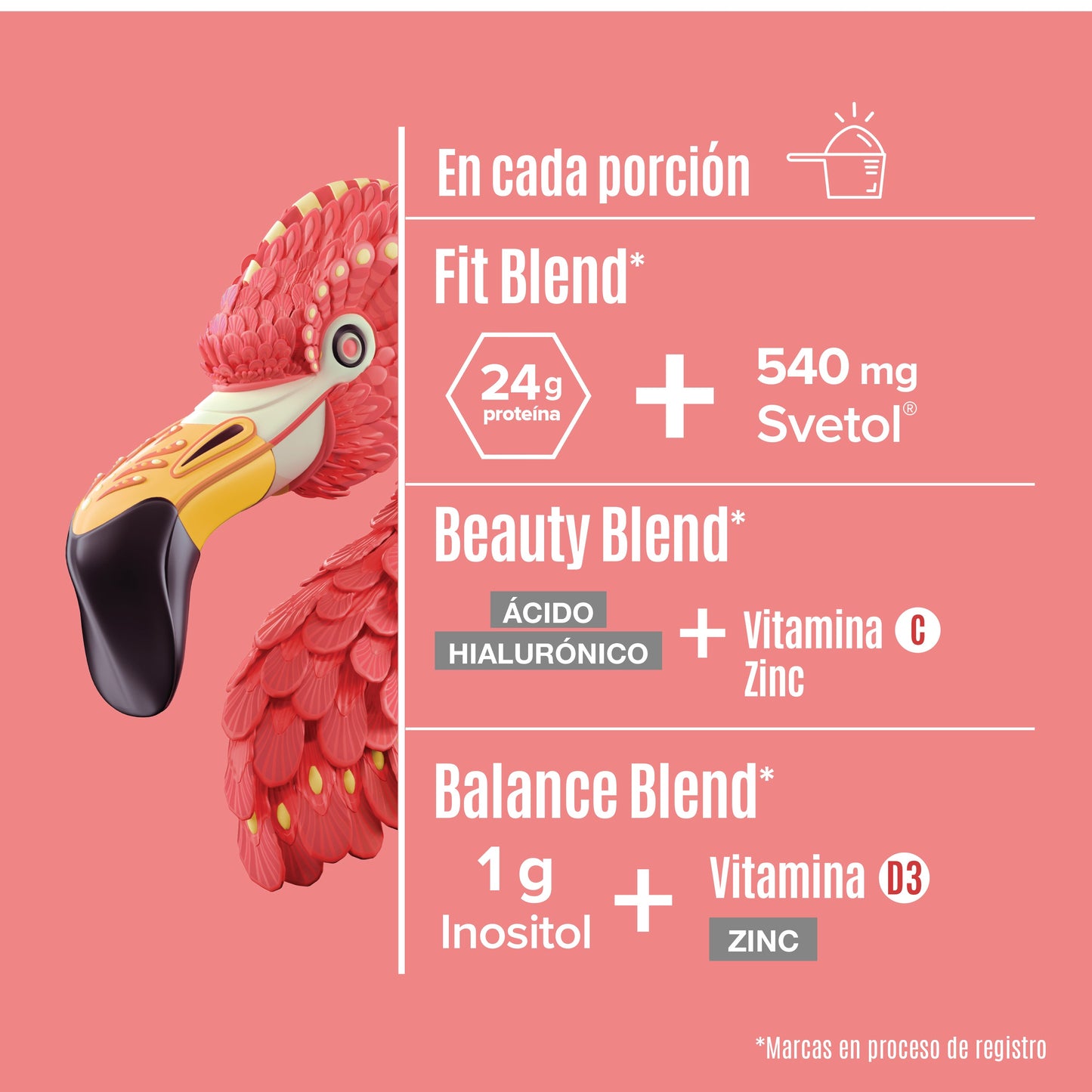 https://cdn.shopify.com/s/files/1/1437/8626/files/FIVA1020_3.jpg?v=1721943585