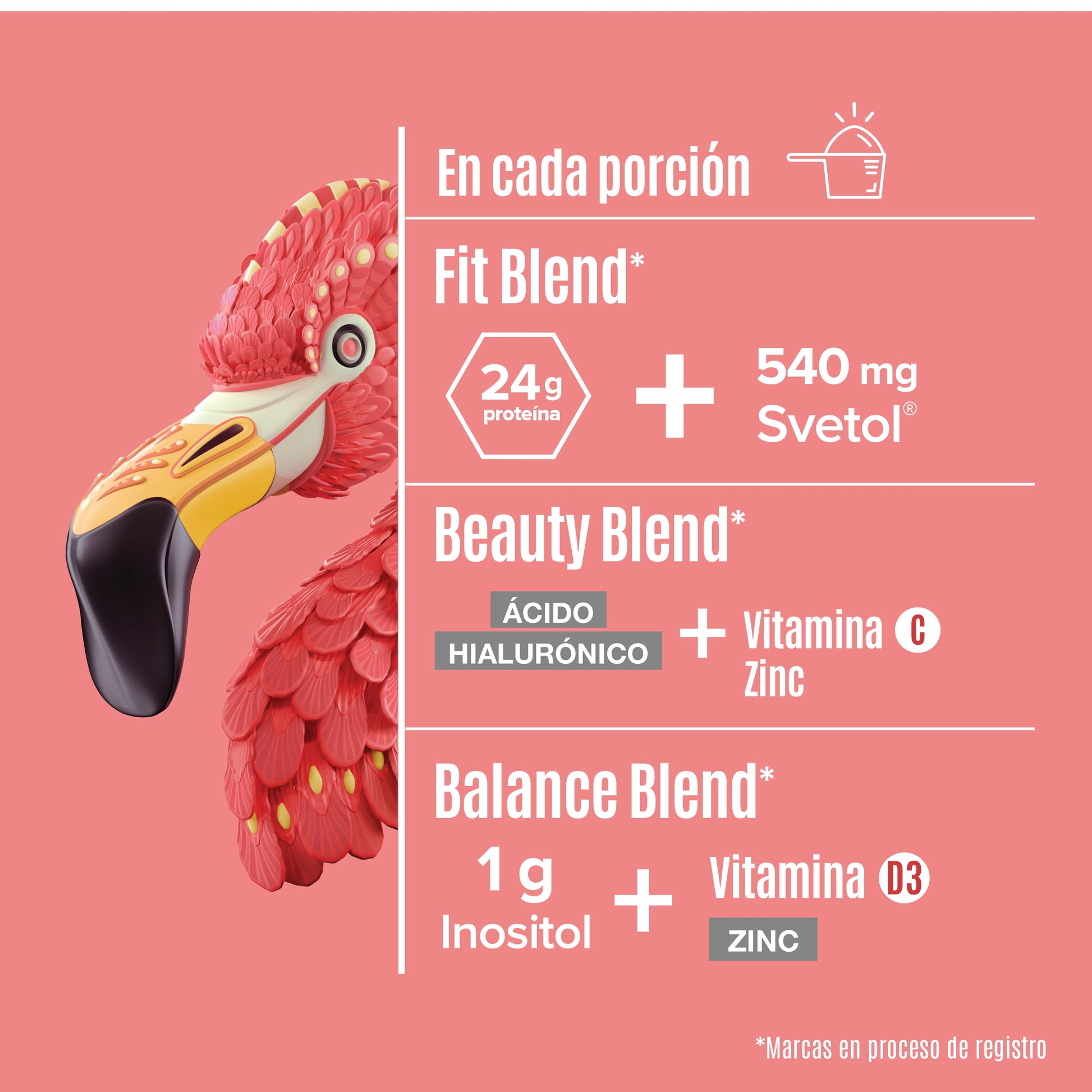 https://cdn.shopify.com/s/files/1/1437/8626/files/FIVA1020_3.jpg?v=1721943585