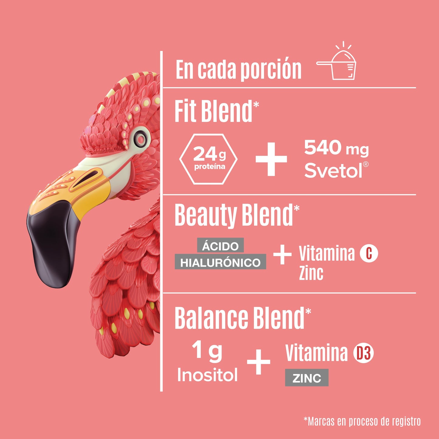 https://cdn.shopify.com/s/files/1/1437/8626/files/FIVA1700_4.jpg?v=1721943588