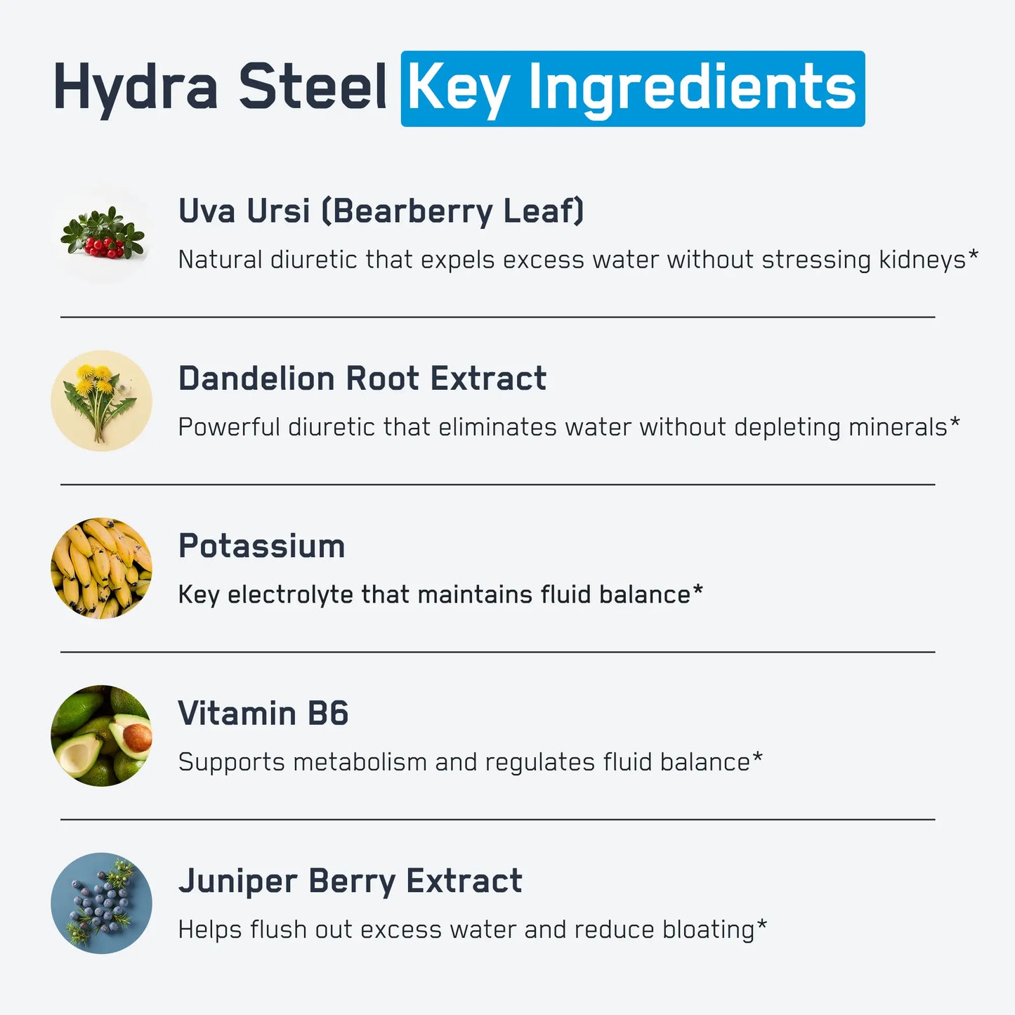 https://cdn.shopify.com/s/files/1/0528/4459/3302/files/HydraSteelInfographic2.webp?v=1766592312
