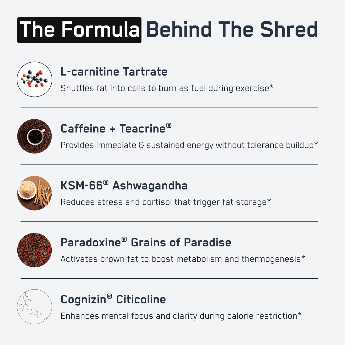 https://cdn.shopify.com/s/files/1/0528/4459/3302/files/ShreddedSteelInfographic2.png?v=1766777600