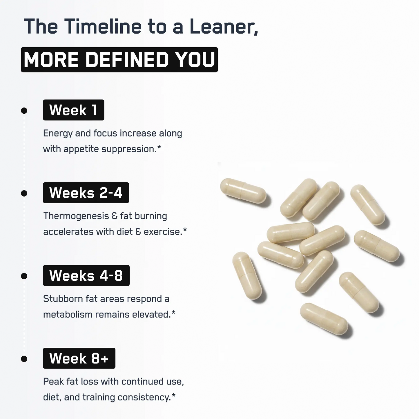 https://cdn.shopify.com/s/files/1/0528/4459/3302/files/ShreddedSteelInfographic5.webp?v=1766777600