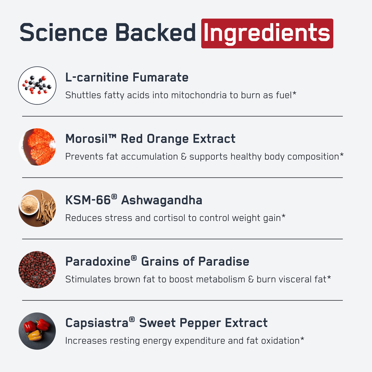 https://cdn.shopify.com/s/files/1/0528/4459/3302/files/SteelCoreInfographic2.png?v=1766777584