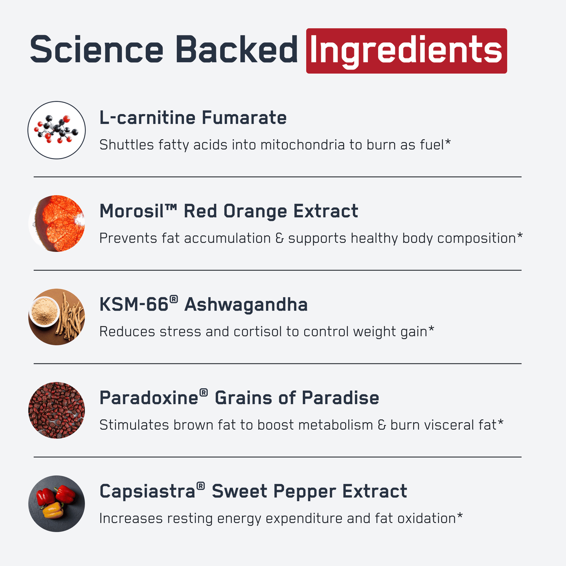 https://cdn.shopify.com/s/files/1/0528/4459/3302/files/SteelCoreInfographic2.png?v=1766777584