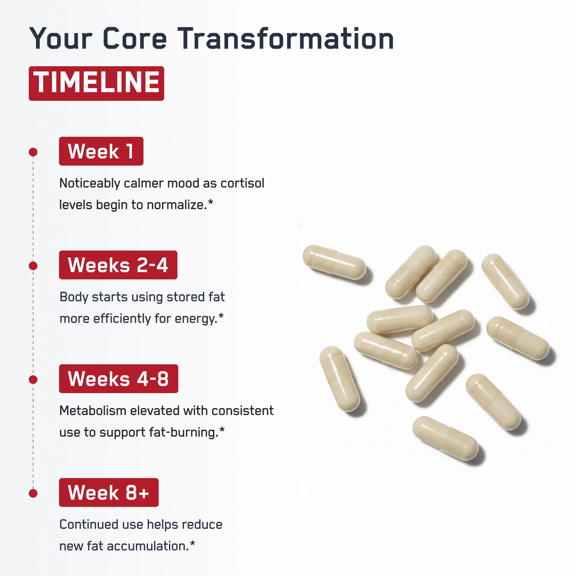 https://cdn.shopify.com/s/files/1/0528/4459/3302/files/SteelCoreInfographic5.webp?v=1766777584