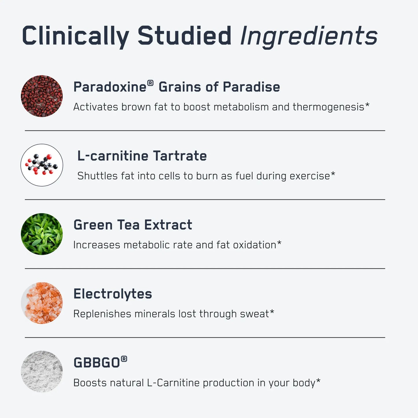 https://cdn.shopify.com/s/files/1/0528/4459/3302/files/SteelSweatInfographic3_44b5fc68-9457-4446-9e7d-2341248a21fa.webp?v=1766593181