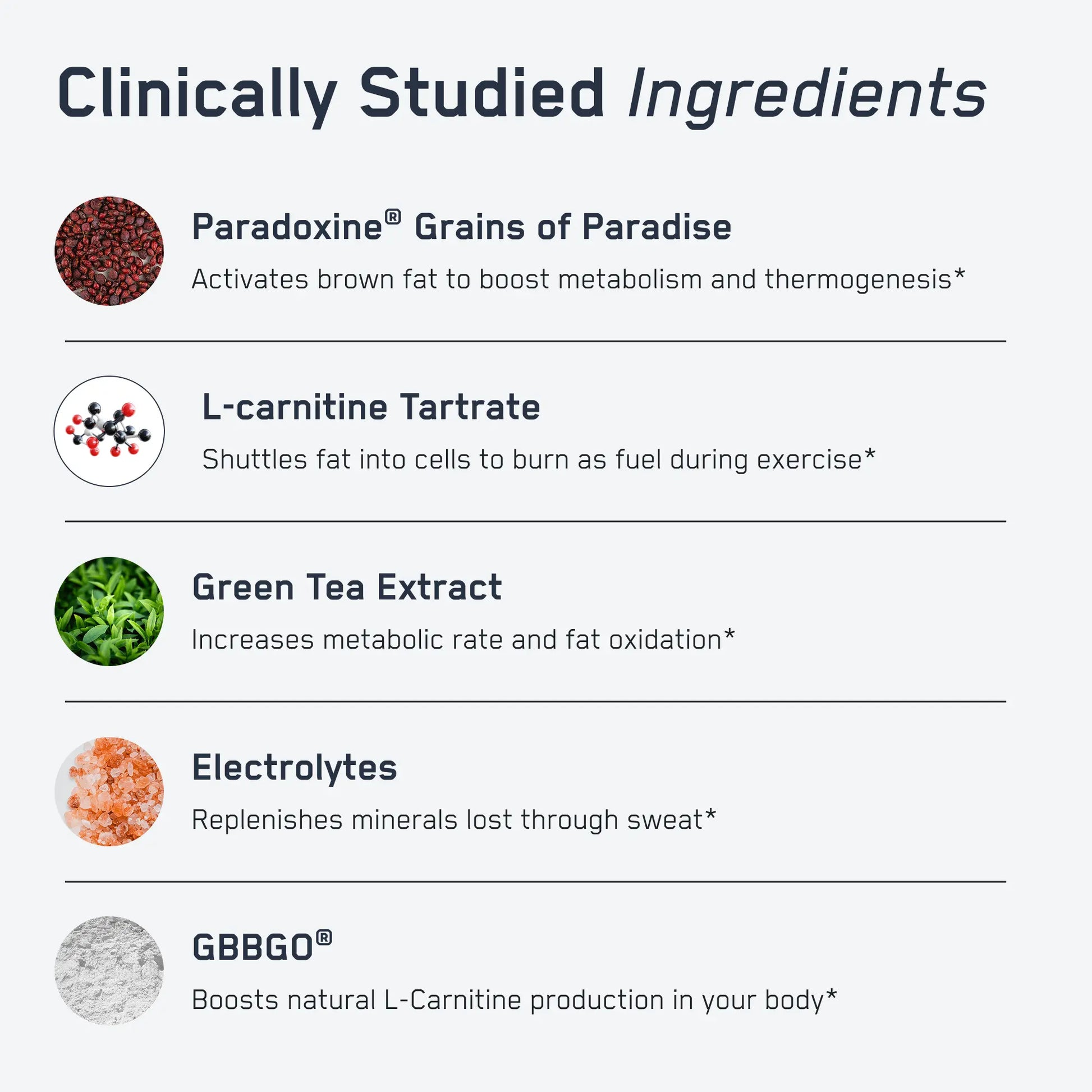 https://cdn.shopify.com/s/files/1/0528/4459/3302/files/SteelSweatInfographic3_44b5fc68-9457-4446-9e7d-2341248a21fa.webp?v=1766593181