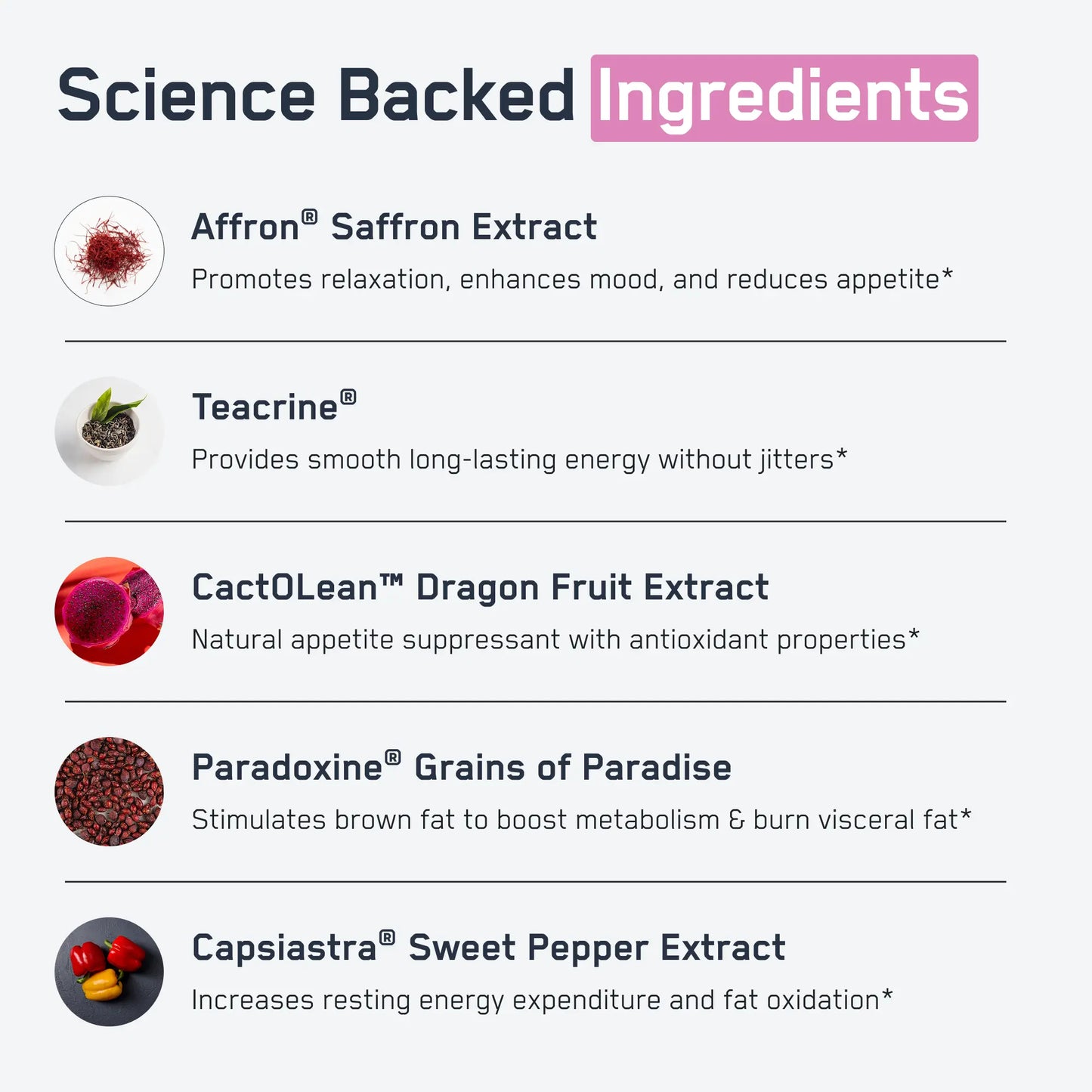 https://cdn.shopify.com/s/files/1/0528/4459/3302/files/Steel_Slim_Infographic_2.webp?v=1766593095