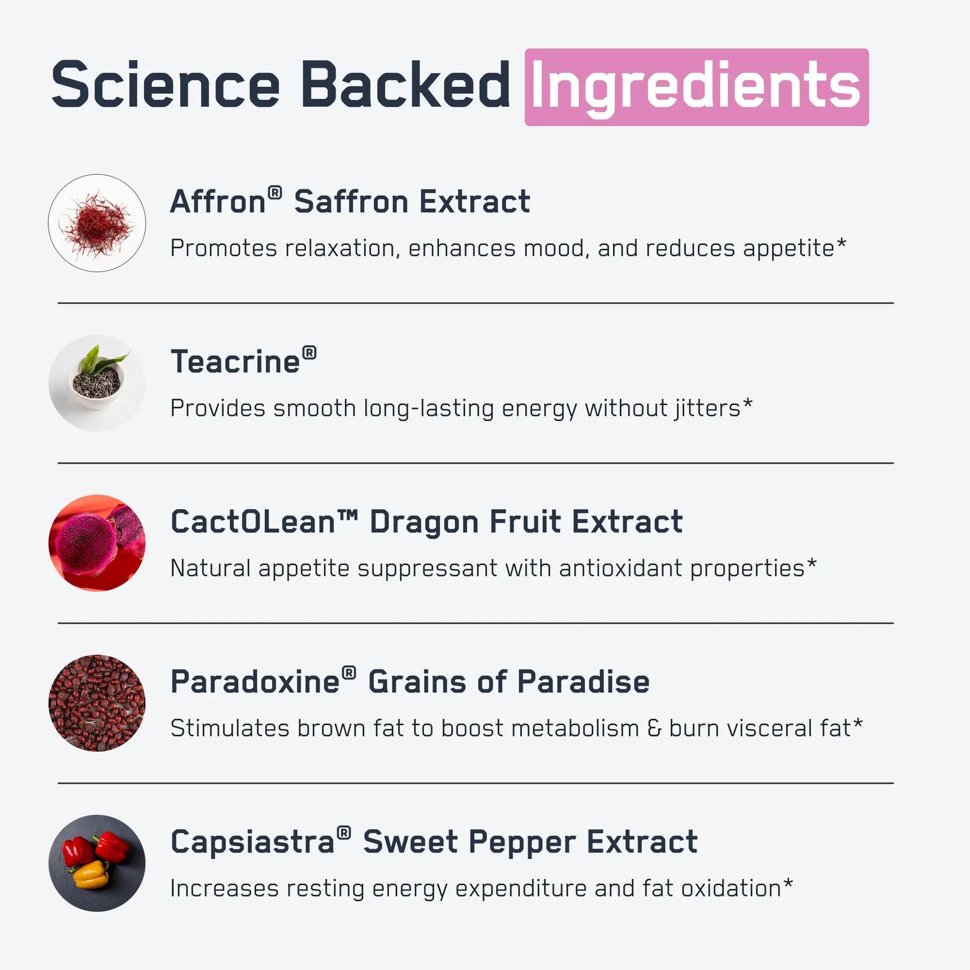 https://cdn.shopify.com/s/files/1/0528/4459/3302/files/Steel_Slim_Infographic_2.webp?v=1766593095