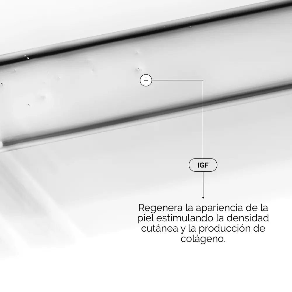 https://www.ulta.com.mx/p/media_14b60c6f876d420999bef146510853198e384e336.png?width=2000&format=webply&optimize=medium