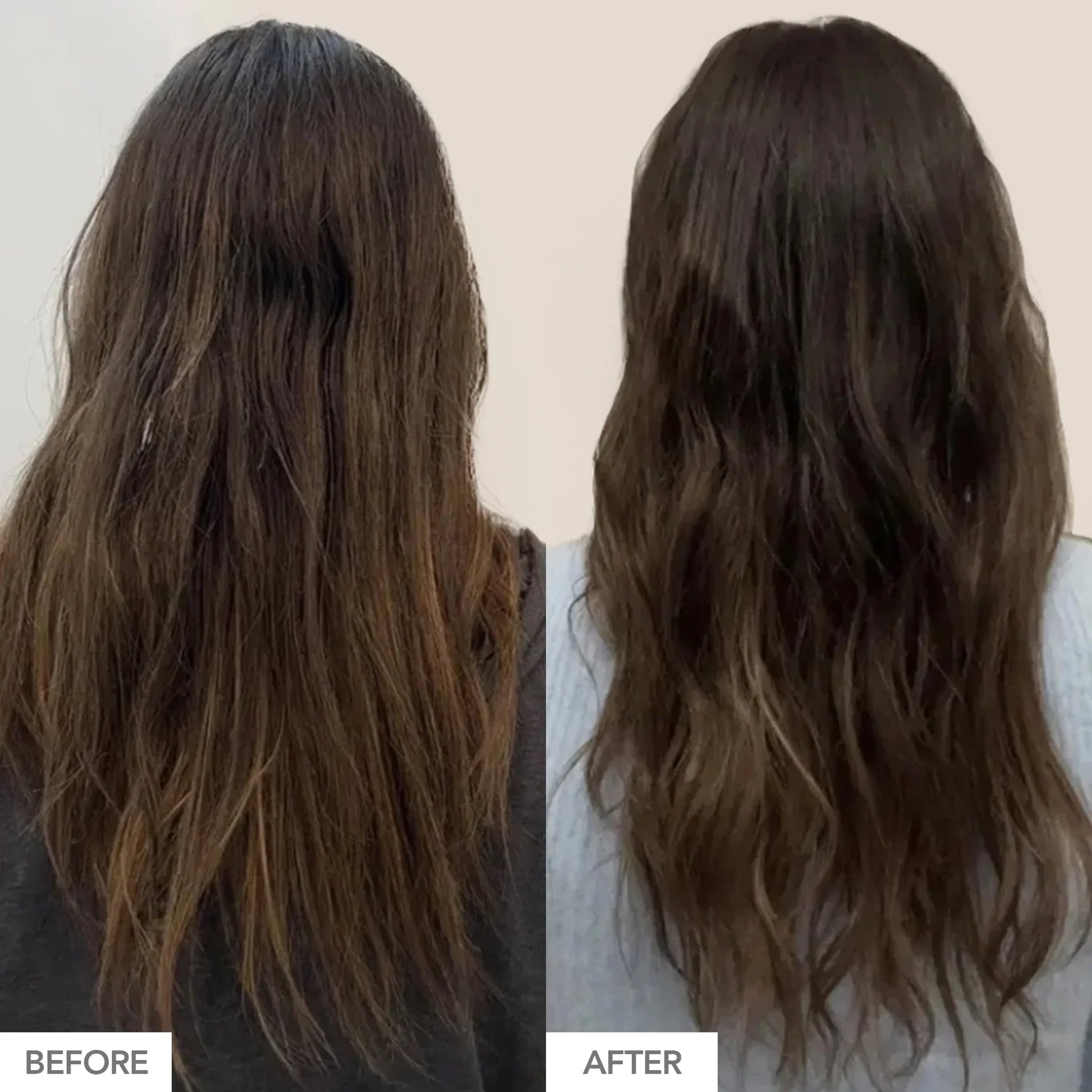 https://cdn.shopify.com/s/files/1/1140/8378/files/shampooconditionerb_a.jpg?v=1762457663
